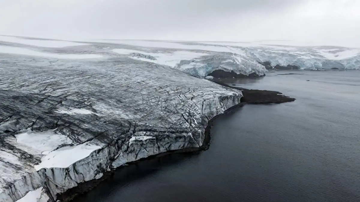 Qlobal böhran sürətlənir: Erkən işarələr