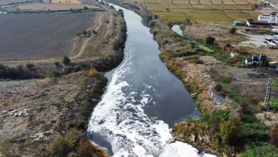 Ege Denizi'ne dökülen Ergene Nehri'nin su kalitesi, en düşük seviyeye indi