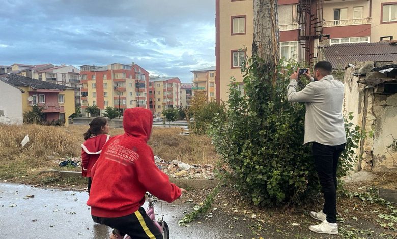 Sivas'ta yıldırım isabet eden ağaç ortadan ikiye ayrıldı; vatandaş korkudan bayıldı