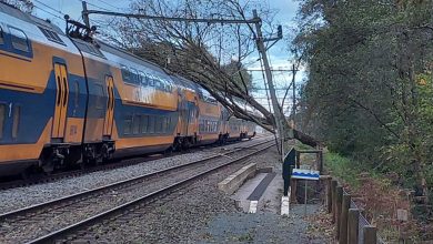 Hollanda'da etkili Ciaran Fırtınası can aldı