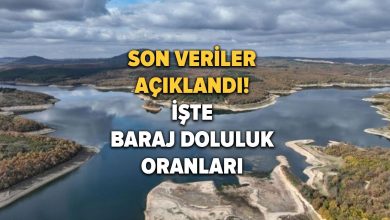 İstanbul barajlarında son durum! İstanbul baraj doluluk oranı son dakika: İşte 7 Kasım 2023 'İSKİ baraj doluluk oranları' Barajlardaki son durum ne?