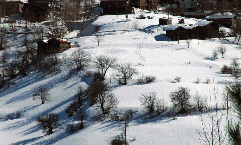 Anadolu'nun "yüce dağı" Ilgaz, kayak sezonunun açılması için gün sayıyor