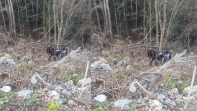 Bursa'da 6 aydır kayıp olarak aranıyordu, cansız bedeni Bilecik'te toprağa gömülü bulundu