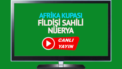 CANLI İZLE Fildişi Sahili Nijerya TV 8,5 şifresiz canlı maç izle