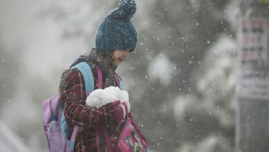 Antalya'nın 5 ilçesinde okullar tatil edildi