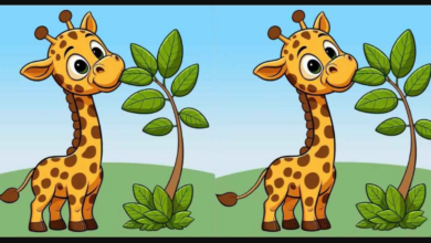 Ağacın en üst dalından yaprak yiyen iki zürafa arasındaki 3 farkı sadece yüksek IQ'su olanlar 11 saniyede buluyor