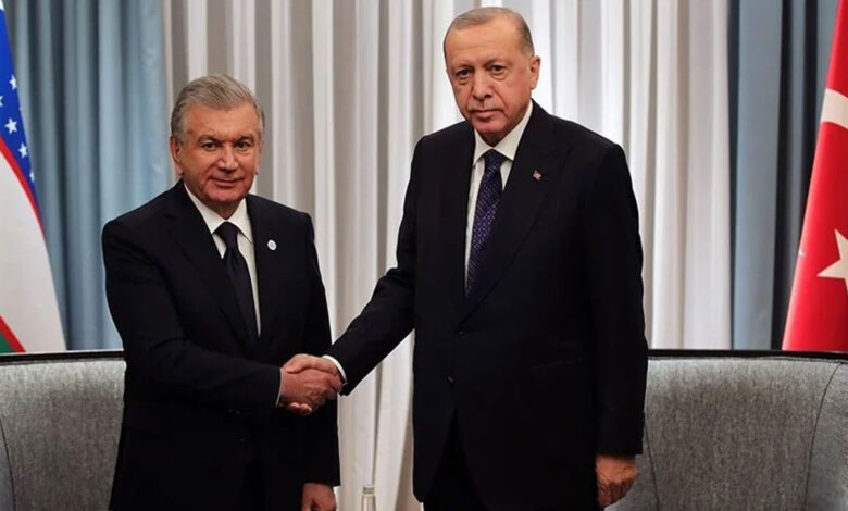 Cumhurbaşkanı Erdoğan, Özbekistan Cumhurbaşkanı Mirziyoyev ile görüştü