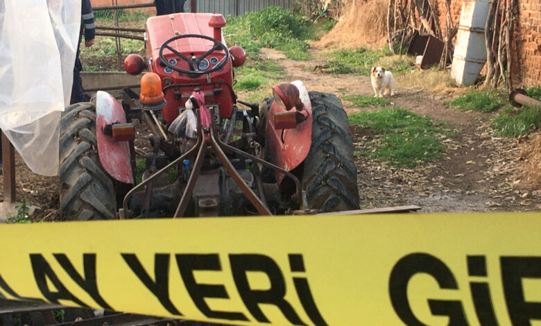 Paşa isimli köpek traktörün altında kalarak ölen sahibinin başından ayrılmadı