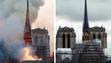 2019 yılında yanan Notre Dame Katedrali'ndeki restorasyonu, bu yıl tamamlanabilir