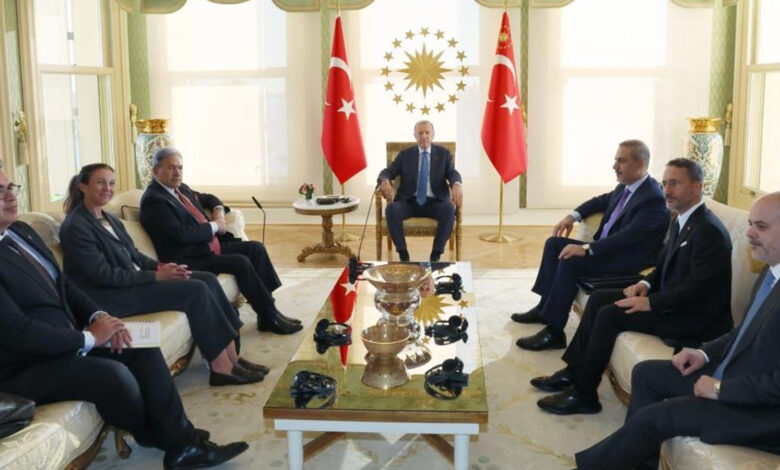 Cumhurbaşkanı Erdoğan, Yeni Zelanda Başbakan Yardımcısı ve Dışişleri Bakanı Peters'i kabul etti