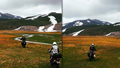Doğa katliamının adresi Antalya: Bir grup motosikletli, endemik dağ laleleri ile çiğdemleri ezdi geçti