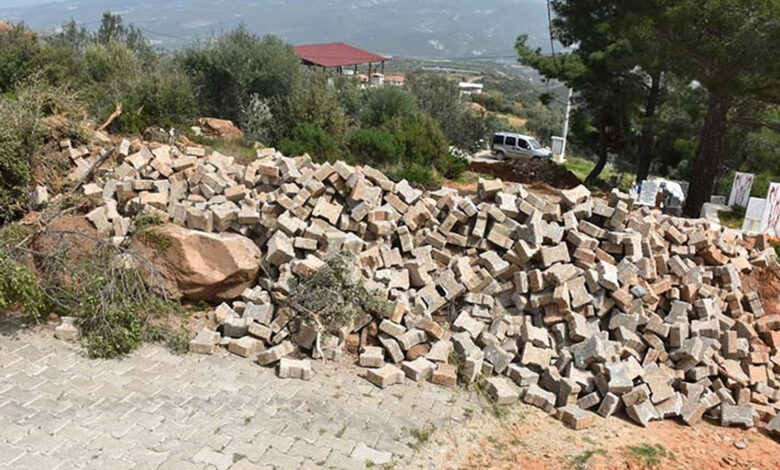 Seçim kaybeden muhtar yolu kapattı, zeytin ağacı dikti