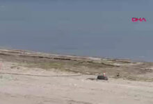 Isparta Eğirdir Gölü kıyısında 'el bombası' alarmı: Plaj girişe kapatıldı