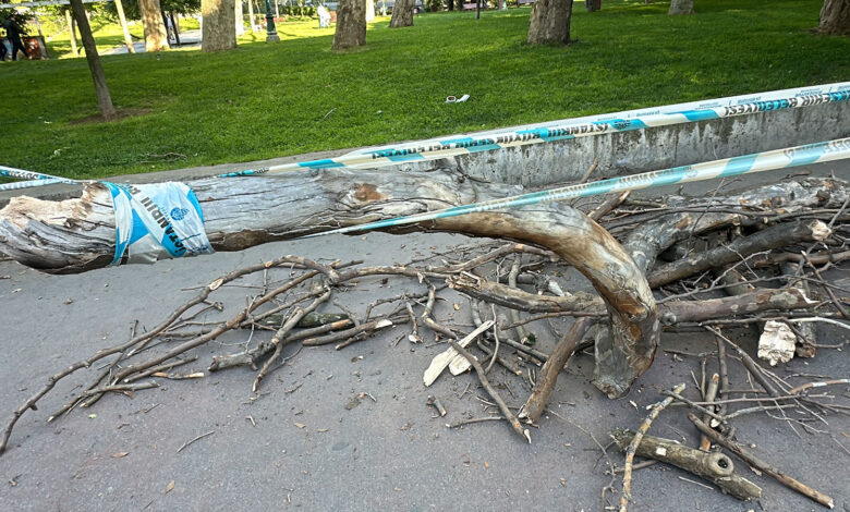 Taksim Gezi Parkı’nda başına ağaç dalı düşen kadın yaralandı
