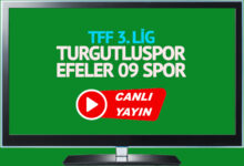 Turgutluspor - Efeler 09 Spor maçı saat kaçta, hangi kanalda?