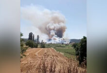 Akbaş'ta orman yangını: Çanakkale Boğazı gemi trafiğine kapatıldı