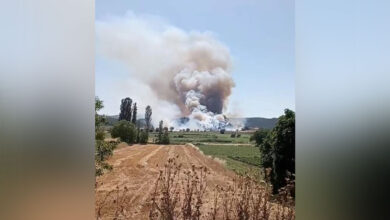 Akbaş'ta orman yangını: Çanakkale Boğazı gemi trafiğine kapatıldı