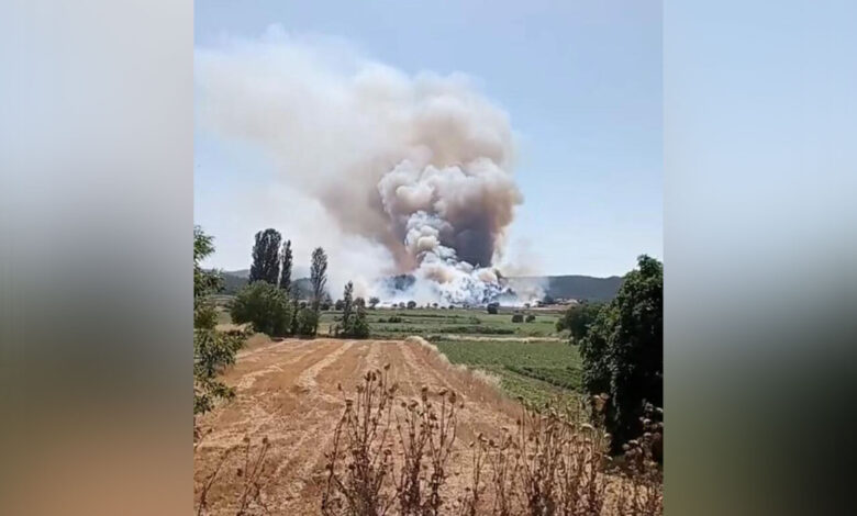 Akbaş'ta orman yangını: Çanakkale Boğazı gemi trafiğine kapatıldı