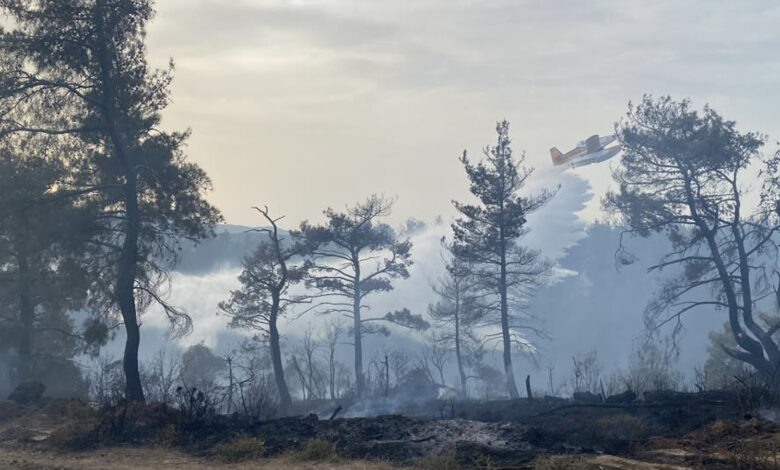 Çanakkale'deki orman yangını 8 saat sonra kontrol altına alındı