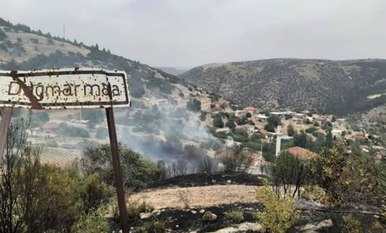 Denizli’de üç ayı noktada orman yangını çıktı