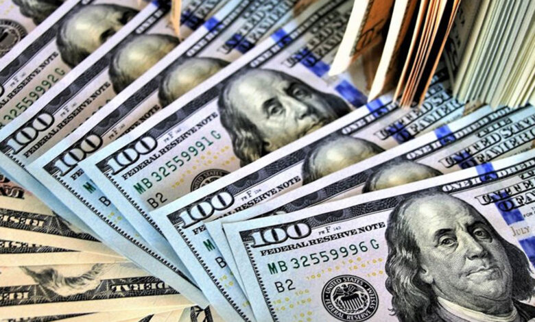 Dolar/TL için '25 lira' iddialarına ekonomistler ne diyor? "Merkez Bankası'nın atacağı adım..."