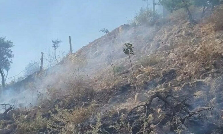 Kaynak yaparken zeytinlik alanı yakmışlardı, serbest bırakıldılar