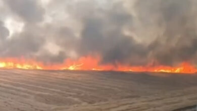 Şanlıurfa'da kahreden görüntü: 100 dönüm ekili alan küle döndü