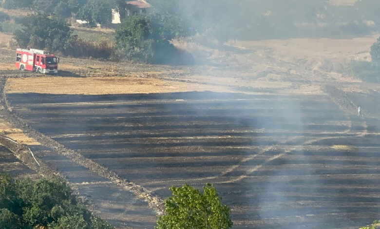 Tekirdağ'da kahreden manzara: 200 dekar tarım alanı küle döndü