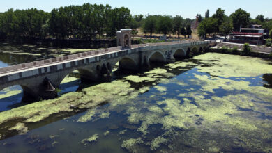 Tunca Nehri'nde debi bir ayda yarı yarıya düştü, yüzeyi yosunla kaplandı