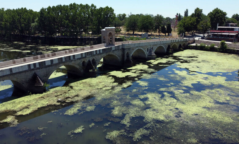 Tunca Nehri'nde debi bir ayda yarı yarıya düştü, yüzeyi yosunla kaplandı