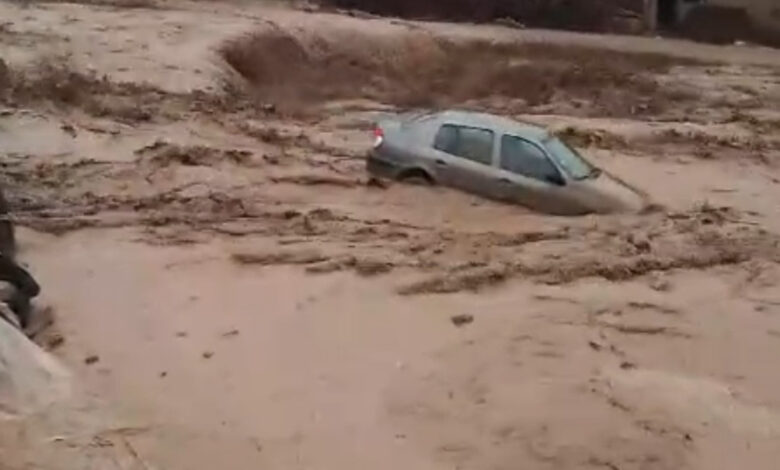 Ağrı'da mucize kurtuluş! Üzerine yıldırım düşen çoban kurtuldu 