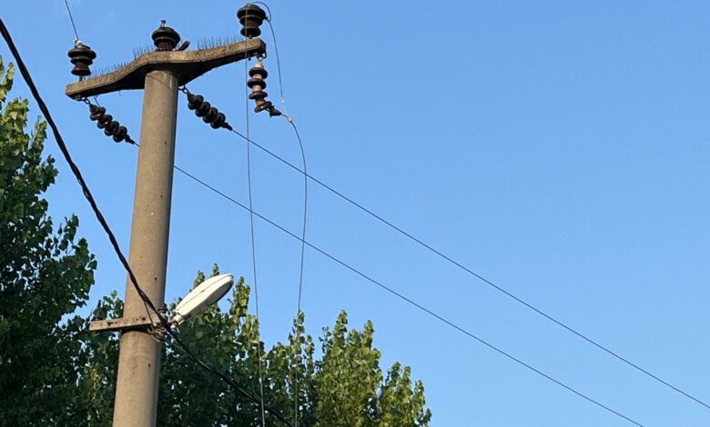 Düzce'de elektrik kablosuna kuş çarpınca mahallenin elektriği kesildi