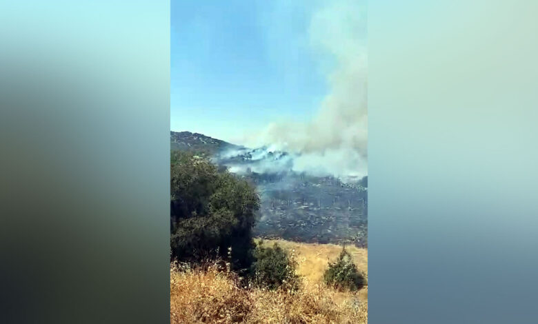 Kahramanmaraş’ta orman yangını