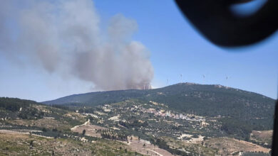 Manisa Soma'da orman yangını