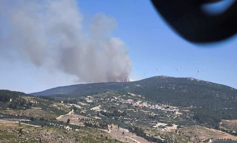 Manisa Soma'da orman yangını