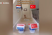 Tüm maçları bilmişti: Kahin köpeğe bu sefer de Türkiye-Hollanda maç skoru soruldu