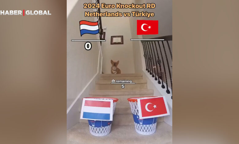 Tüm maçları bilmişti: Kahin köpeğe bu sefer de Türkiye-Hollanda maç skoru soruldu