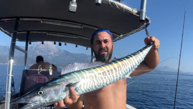 Türkiye'de ilk kez görüldü! Yakaladığı kral balığını arkadaşına hediye etti; gerçeği sonra öğrendi