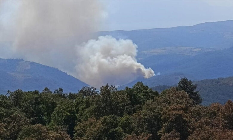 Bursa'da çıkan orman yangını kontrol altına alındı