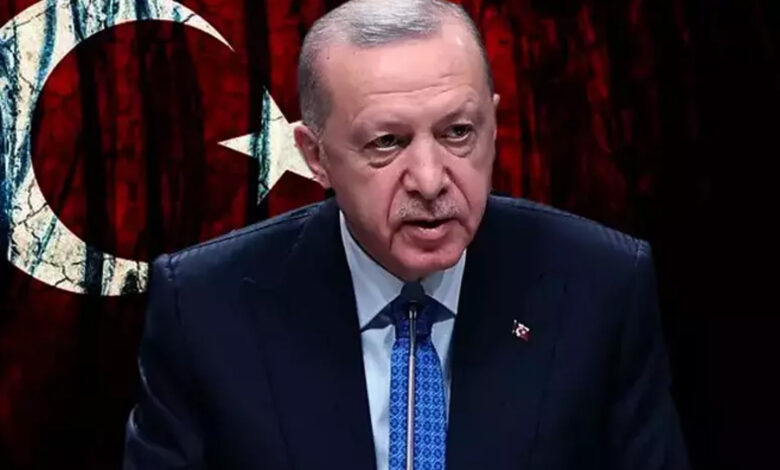 Cumhurbaşkanı Erdoğan, Somali Cumhurbaşkanı ile görüştü