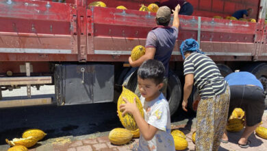 Halden istediği fiyatı alamayınca ücretsiz dağıttı! Tır yarım saatte boşaldı