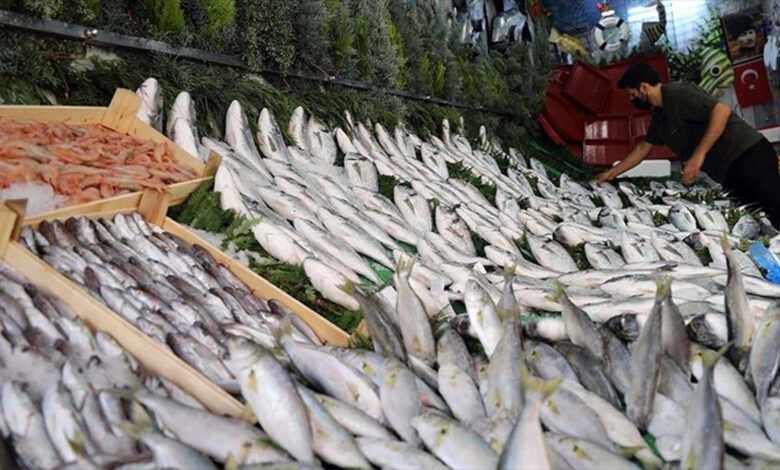 Hamsi, palamut veya çinekop değil! Sağlığa en faydalı 3 balık hangisi