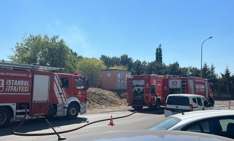 İstanbul Tuzla'da Üniversite arazisinde yangın çıktı