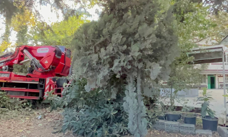 İstanbul'da zincirleme kaza! Vinç, caminin avlusuna girdi