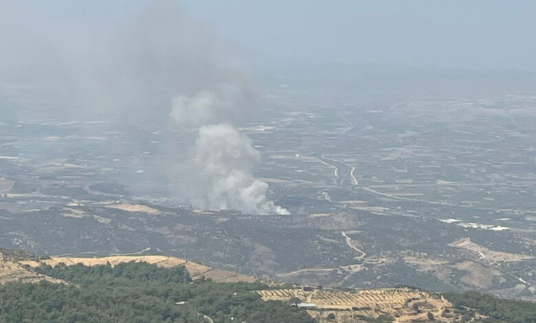 İzmir'de orman yangını!