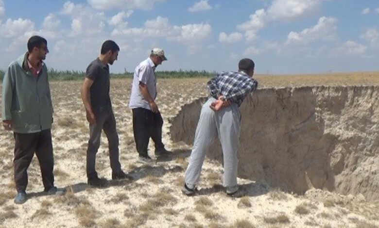 Bölgede yaşayanlar korku içinde! Koyun otlatan çobanlar fark etti