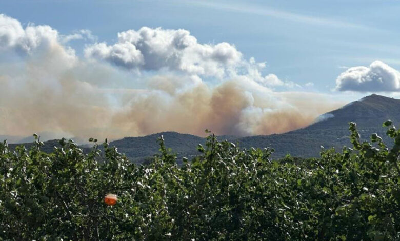 Fransa'da orman yangını: 80 kişi evlerinden tahliye edildi