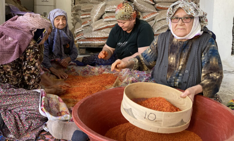 Gençlere taş çıkartan 90 yaşındaki 3 arkadaş uzun ömürlerinin sırrını açıkladı