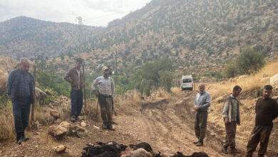 Siirt'te yıldırım düşmesi sonucu 64 keçi telef oldu