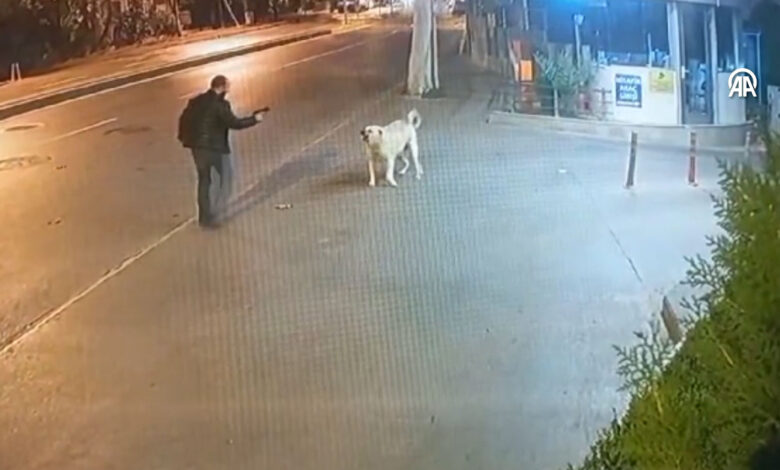 Bahçelievler'de köpeğe silah doğrultan kişiyle ilgili yeni gelişme